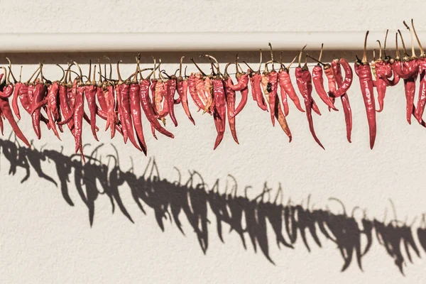 Gün ışığı. kırmızı biber sokakta bir ip üzerinde kurur. orada tinting.