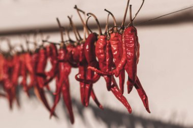 Gün ışığı. kırmızı biber sokakta bir ip üzerinde kurur. orada tinting.