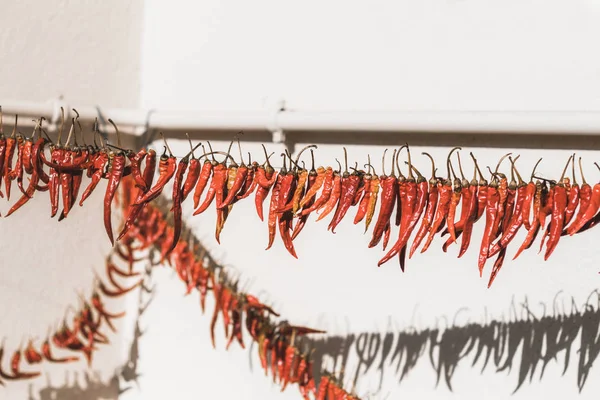 Gün ışığı. kırmızı biber sokakta bir ip üzerinde kurur. orada tinting.