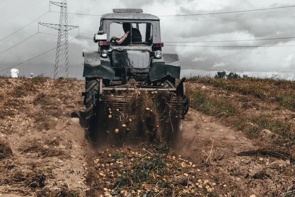 Retro traktor plukker kartofler. en anordning til rengøring af kartoflen er fastgjort til den - Stock-foto