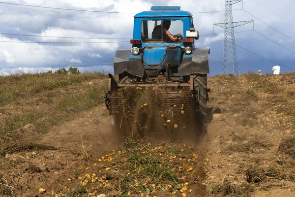 Ретро-трактор собирает картошку. к нему прикреплено устройство для чистки картошки — стоковое фото