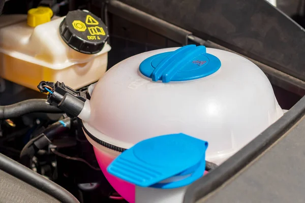 daylight. hood up. Expansion tank with pink liquid. Close-up.