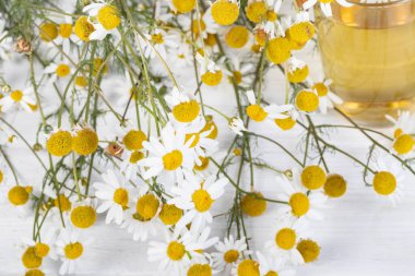 Geçmişe dönük beyaz ahşap arka plan. Üzerinde papatya çayının demlendiği cam bir bardak var. Uzayı kopyala metin