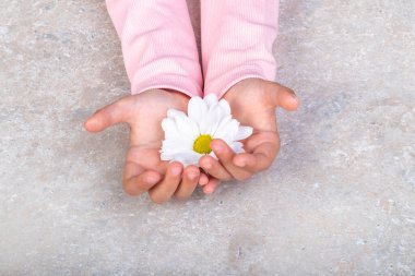 İki çocuk eli. Çiçek tomurcukları var. Yapraklar masaya saçılmış..