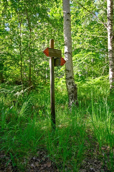 Zwei orangefarbene Pfeile, die den Weg eines Weges markieren — Stockfoto