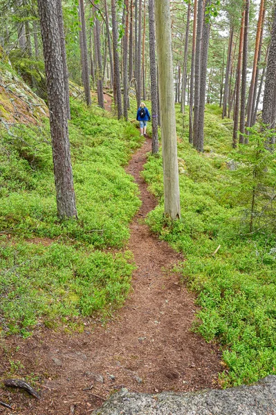 Beau sentier pédestre dans le parc national de Tiveden Suède — Photo