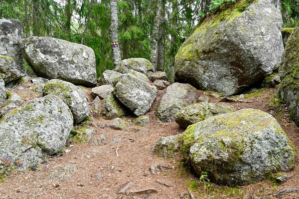 Tiveden İsveç 'te yürüyüş yolunda büyük kayalar var. — Stok fotoğraf