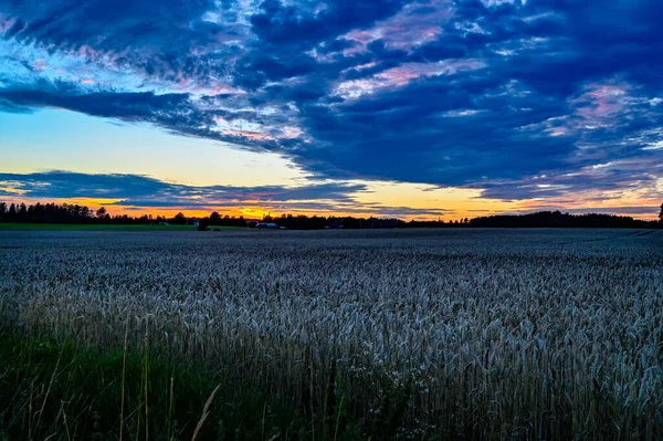 Coucher de soleil spectaculaire sur les champs près de Kumla Suède — Photo