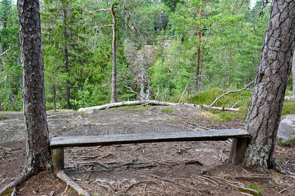 Área de descanso cerca de un sendero en el lago Dovra — Foto de Stock