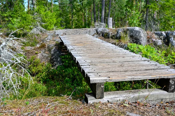Jalur berjalan dengan jembatan kayu kecil buatan manusia — Stok Foto