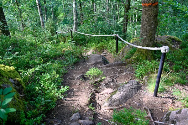 Step Trail mit weißem Seil als Stütze — Stockfoto