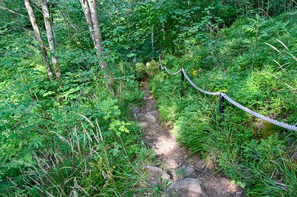 Steap trail con cuerda blanca como soporte —  Fotos de Stock