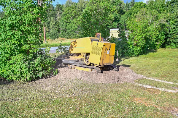 Grote gele stomp slijper in lila heg — Stockfoto