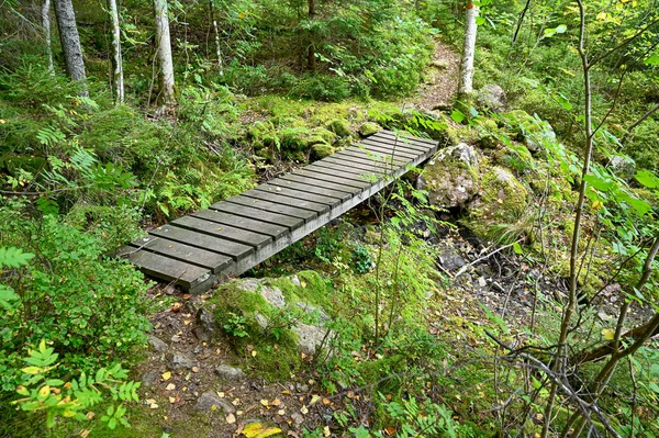 Holzbrücke im grünen schwedischen Wald — Stockfoto