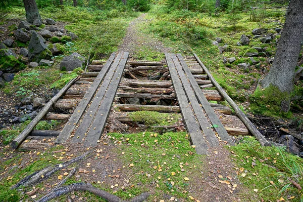 Jembatan kayu di hutan Swedia hijau — Stok Foto