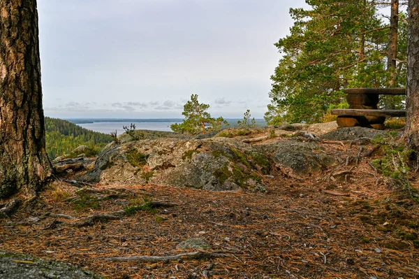 Área de descanso no topo de Skale Klint Suécia — Fotografia de Stock