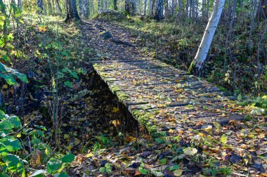 Yürüyen patikada yaprakları olan tahta köprü.
