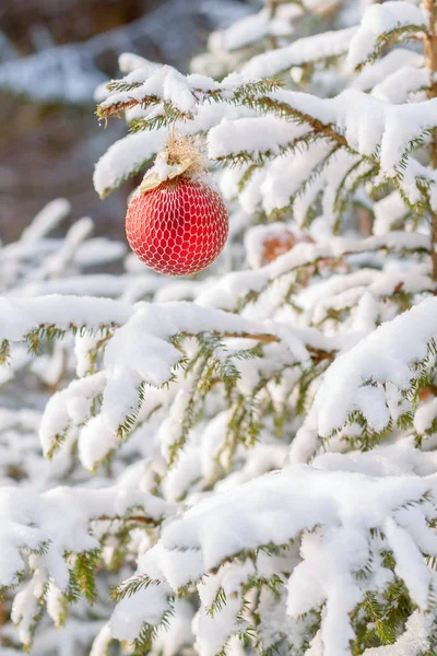 Havas Fenyő Díszített New Year Játékok — Stock Fotó