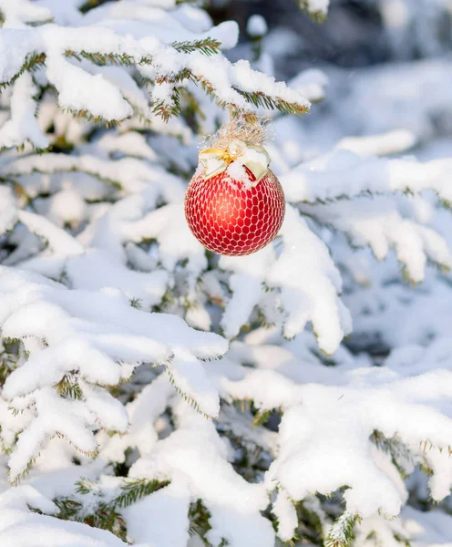 Havas Fenyő Díszített New Year Játékok — Stock Fotó