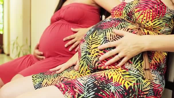Pregnant Women Talking Together Prenatal Reunion — Stock Video