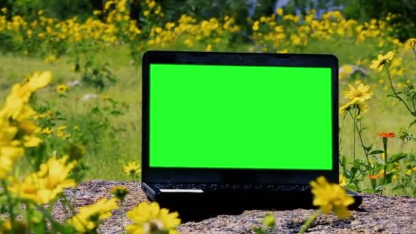 Groen Scherm Laptopcomputer Buiten Close — Stockvideo