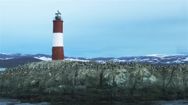 灯塔在世界的末端 在乌斯怀亚 比格海峡 阿根廷 — 图库视频影像