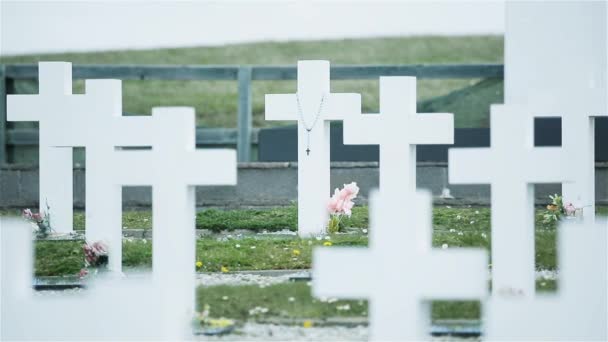 Argentinské Vojenský Hřbitov Falklandské Ostrovy Malvíny — Stock video