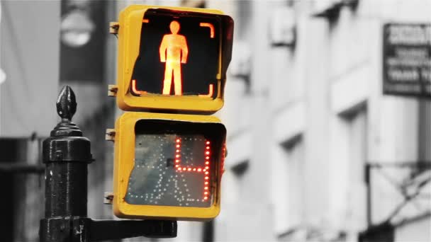Traffic Light Närbild Bakgrunden Svart Och Vit Ton — Stockvideo