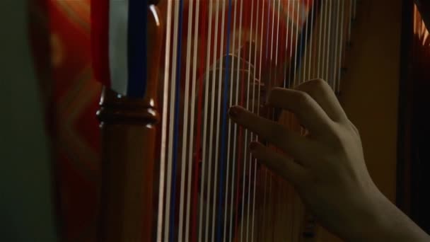 Hand Spelar Harpa Sträng — Stockvideo