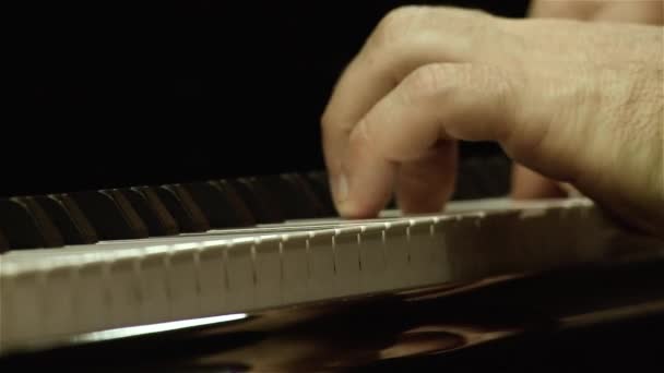 Musician Playing Piano Close Detail Fingers Keyboard — Stock Video