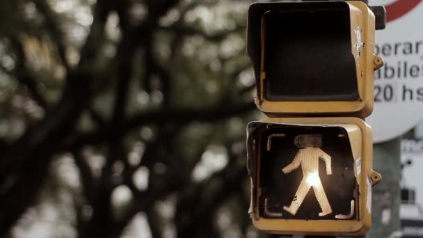 布宜诺斯艾利斯的交通信号特写 — 图库视频影像