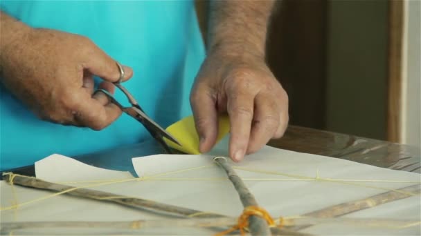 Senior Making Kite Primer Plano — Vídeos de Stock