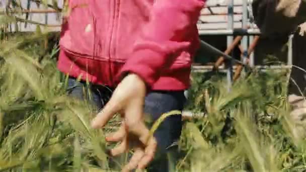 Meisjes Spelen Met Planten Het Park — Stockvideo