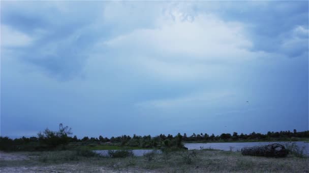 沼泽中的暴风雨日 — 图库视频影像