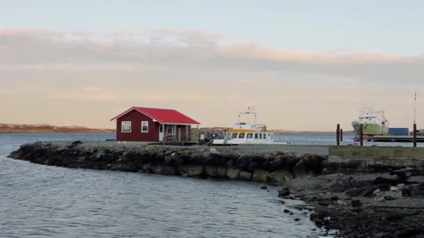 Hamn Stanley Falklandsöarna Malvinas — Stockvideo