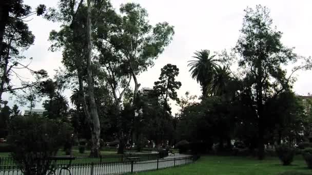 Park Windy Day Filmado Buenos Aires Argentina — Vídeo de Stock