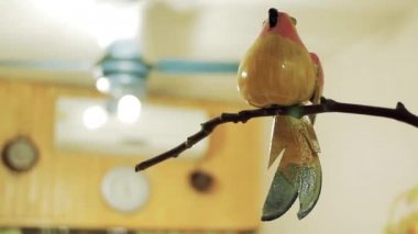 Bir Evdeki Tahta Kuş.
