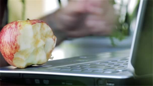 Frau Isst Apfel Während Sie Laptop Arbeitet Nahaufnahme — Stockvideo