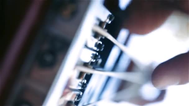Guitare basse. Les doigts sur les cordes. Macro Shot .