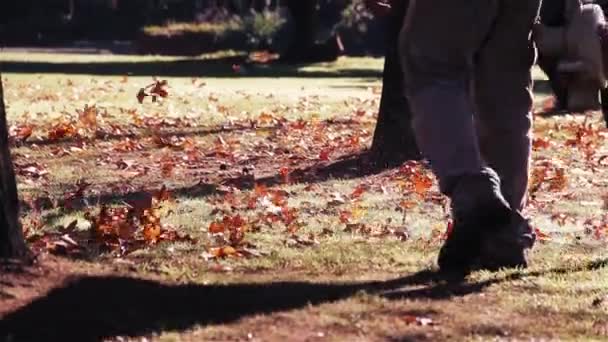 Tuinman Opruimen Van Bladeren Met Behulp Van Een Bladblazer — Stockvideo