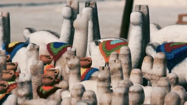 Zout Souvenirs Een Zoutmijn Close Gefilmd Salinas Grandes Salt Flats — Stockvideo