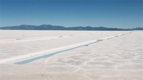 Saline Salinas Grandes Provincia Jujuy Argentina — Video Stock