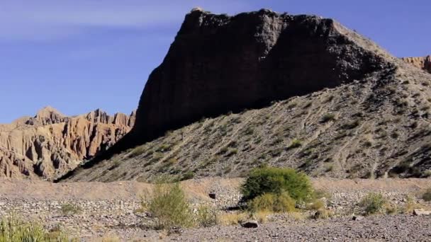 Einsame Landschaft Der Argentinischen Puna — Stockvideo