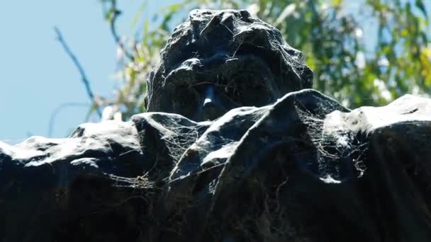 Statue Bronze Homme Aux Bras Croisés — Video