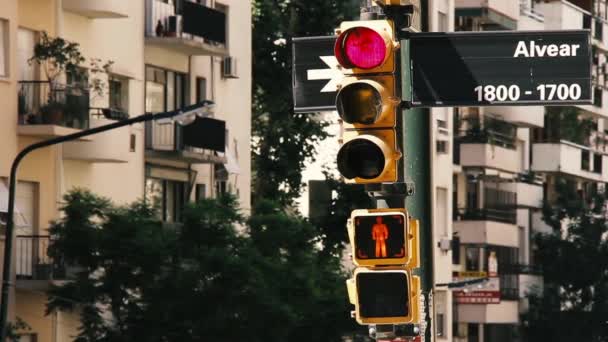 Trafik Lambası Recoleta District Buenos Aires Arjantin — Stok video