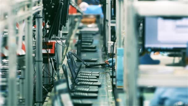 Linea Assemblaggio Computer Portatili Produzione Lavoratori — Video Stock