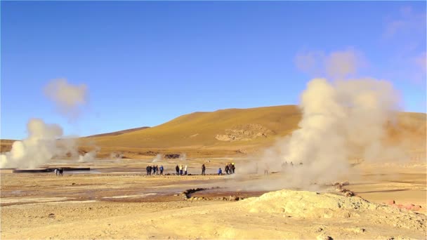 Erupting Geyser Tatio Deserto Atacama Cile — Video Stock