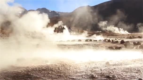 Извержение Гейзера Эль Татио Пустыня Атакама Чили — стоковое видео