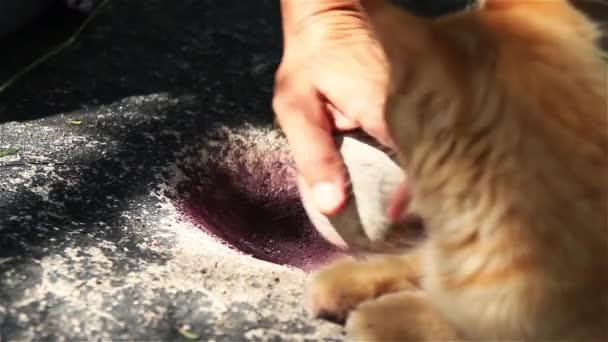 Vrouwelijke Hand Werkend Met Een Stenen Mortel — Stockvideo