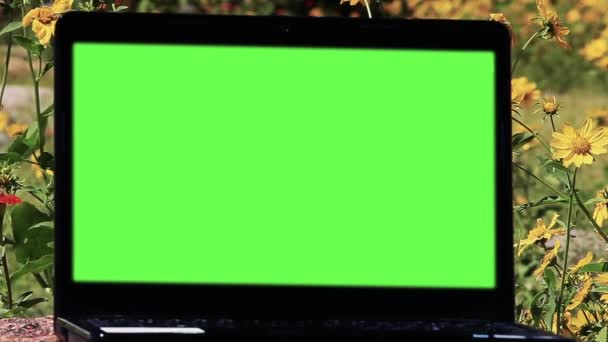 緑の画面を持つラップトップコンピュータ 花の分野で撮影されました 緑の画面をAeのキーエフェクトで必要な映像や画像に置き換えることができます Youtubeのチュートリアルをチェック — ストック動画